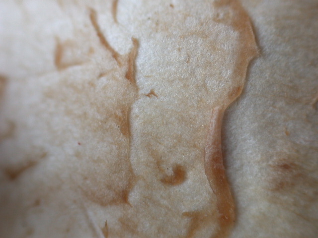 Tre elementi particolari ... QUIZ